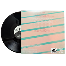 Load image into Gallery viewer, Room And Board (Vinyl LP)
